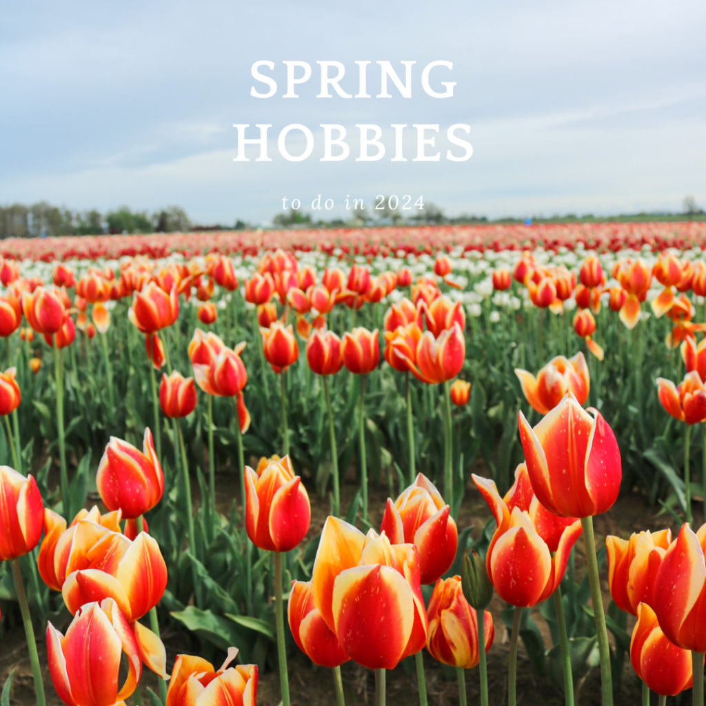 cozy spring hobbies & activities you can do in&nbsp;2024